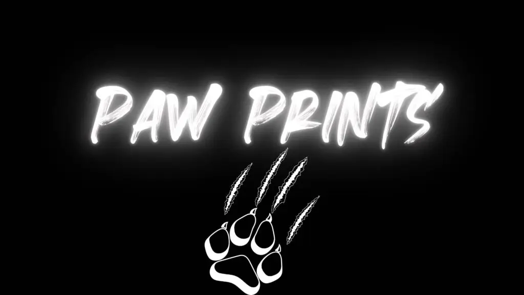 Paw Prints Album Cover