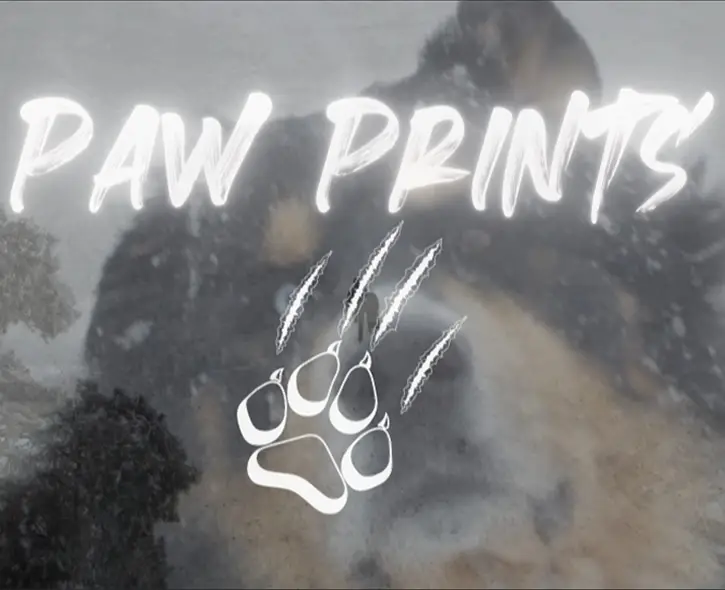 Paw prints full color album cover